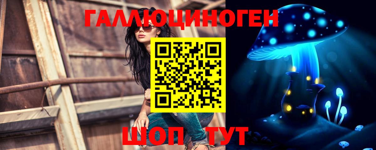 Кулебаки  Псилоцибиновые грибы MAGIC MUSHROOMS  Вход с VPN 